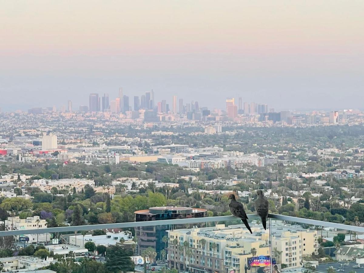 Stunning View Hollywood Hills Guest House 로스앤젤레스 외부 사진